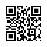 qr audit